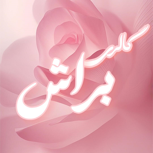 براش گالری