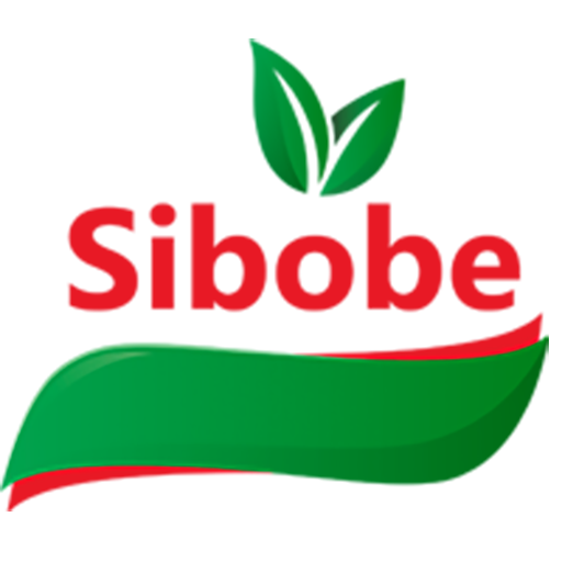 سیبوبه