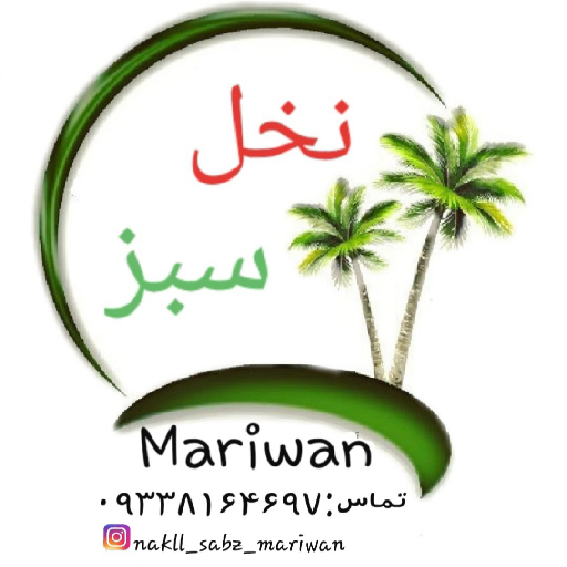 خرما لطیفی