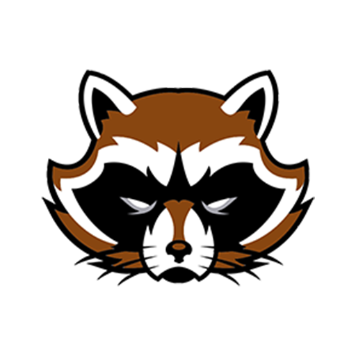 راکون پی سی