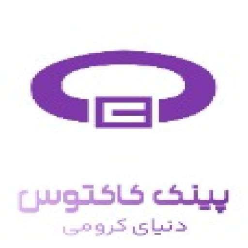 پینک کاکتوس استور