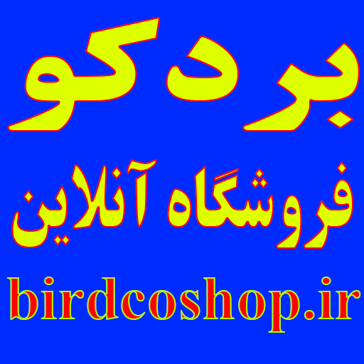 بردکو شاپ