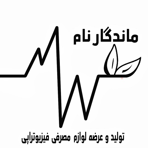 ماندگار نام