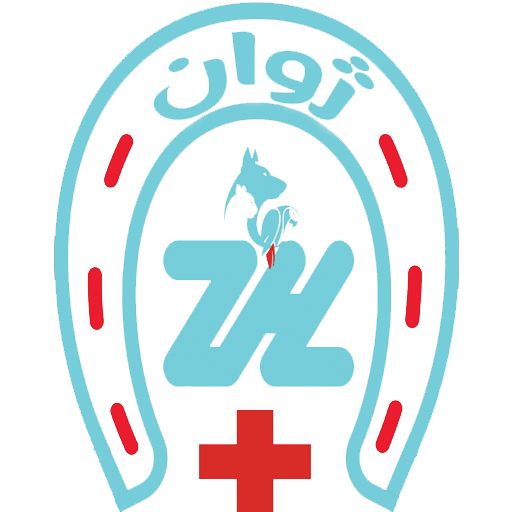 پت شاپ ژوان