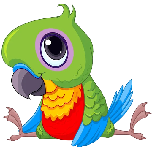 چیکو پت شاپ