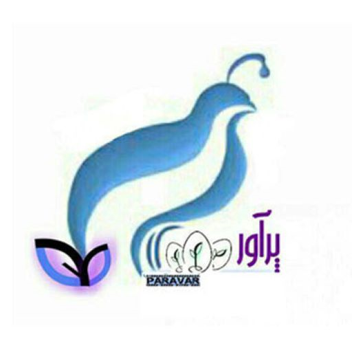 ایران پراور