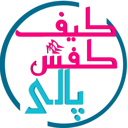 کفش پالی