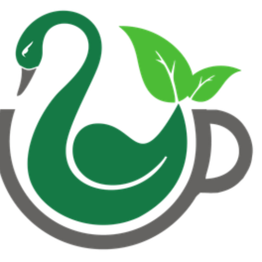 طب سنتی سلامت