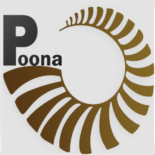 صنایع چرم پونا