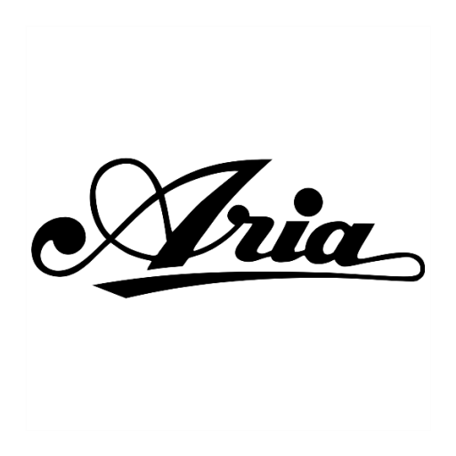 آریا پرسینگ