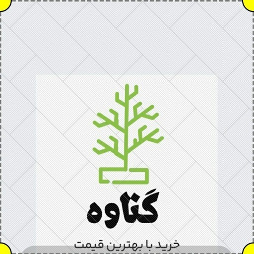 گناوه بیوتی 1