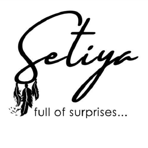 ستیا گالری استور