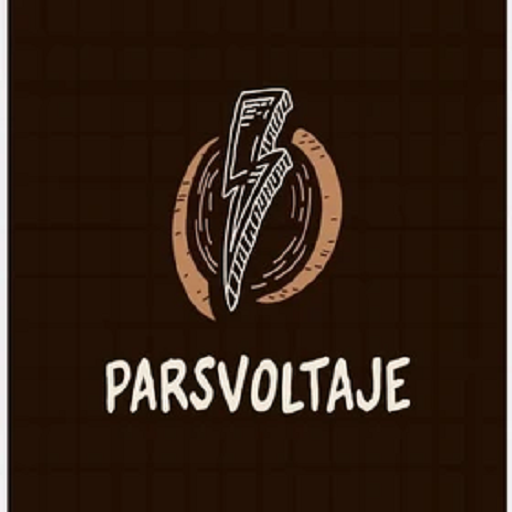 پارس ولتاژ