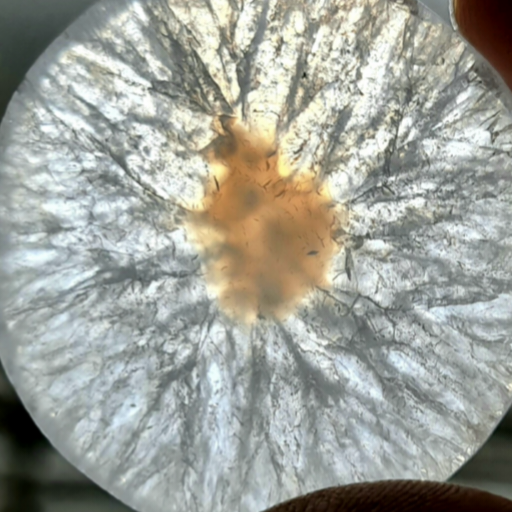 سنگ و پودر معدنی