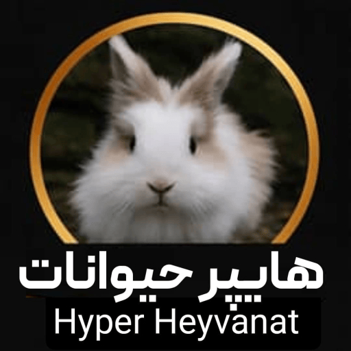 هایپر خرگوش