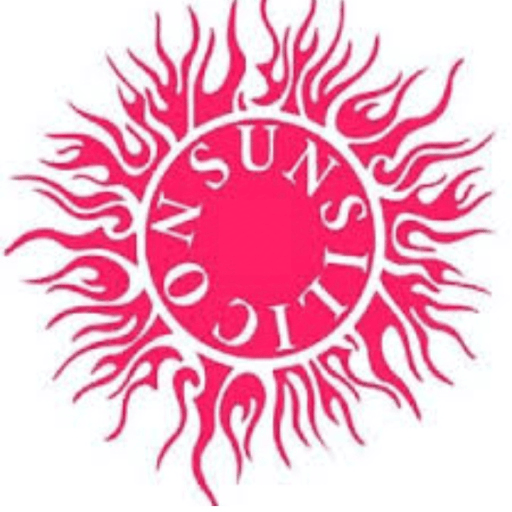 سان سیلیکون شاپ