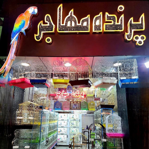 پرنده مهاجر