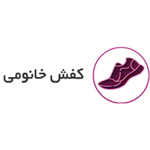 کفش خانومی‌