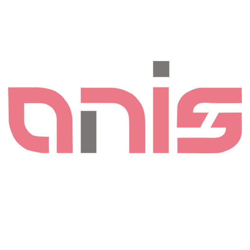 آنیس هوم استور