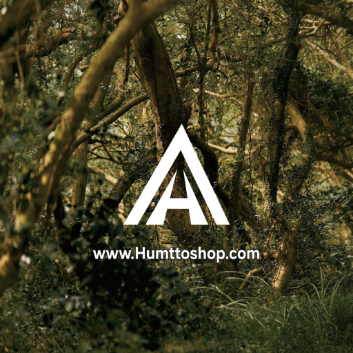 کفش هامتو شاپ