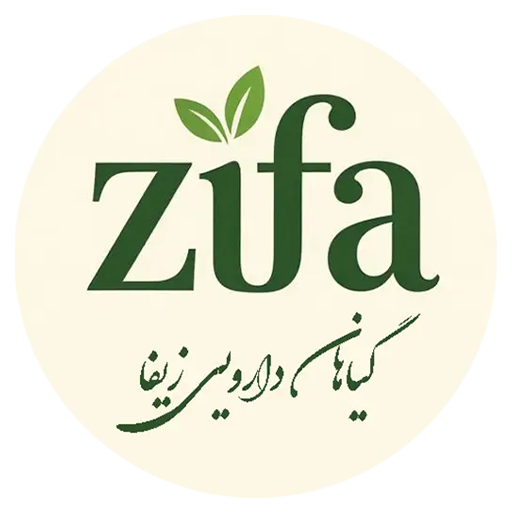 زیفا تجارت استور