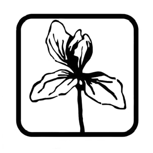 دست سازه های زنبق