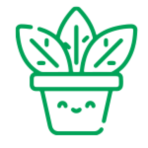 فوتوسنتز استور