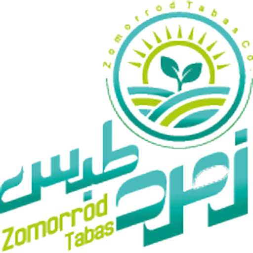 زمرد طبس