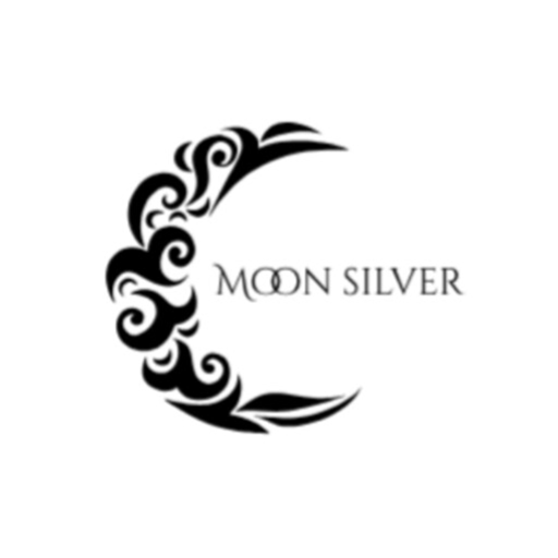 گالری نقره‌ی مون