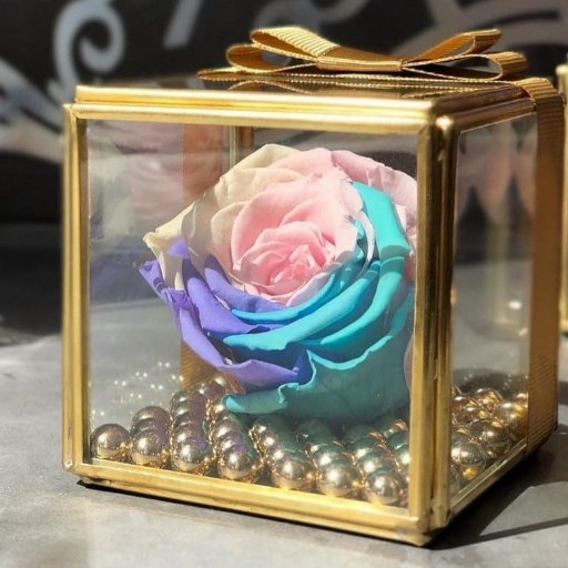 نامزدی کالا