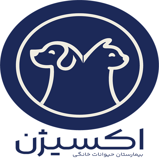 پت شاپ اکسی پت