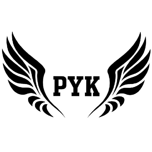 پیشرو یدک تک