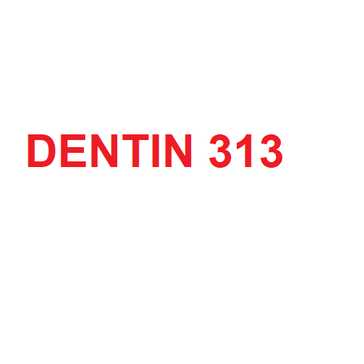 دنتین 313
