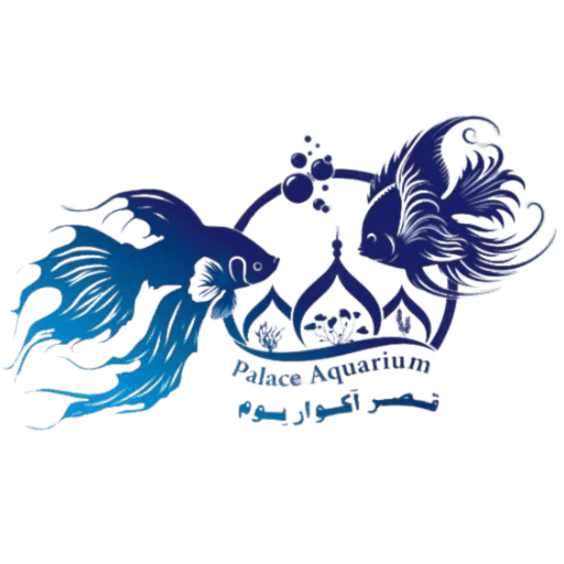 قصر آکواریوم