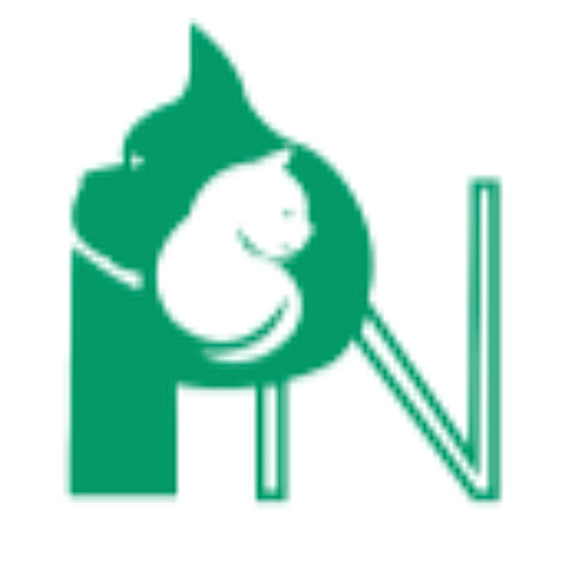 پتشاپ دكتر نعمتي