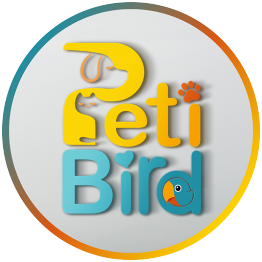 پت شاپ پتی برد