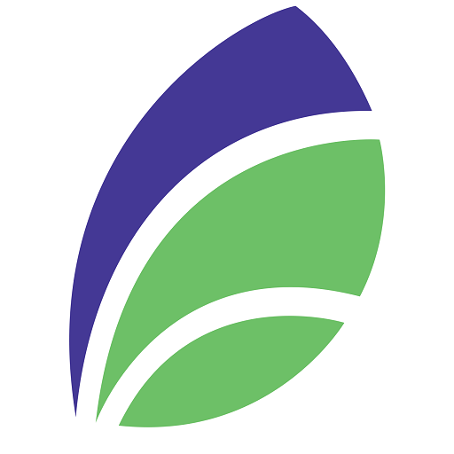 پایا تجارت سبز آسیا