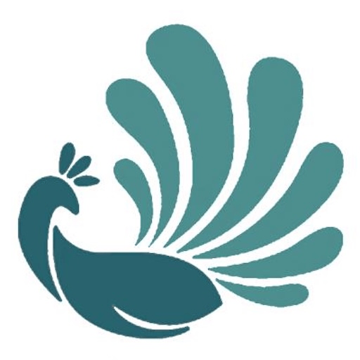 مزون زنانه دیبا