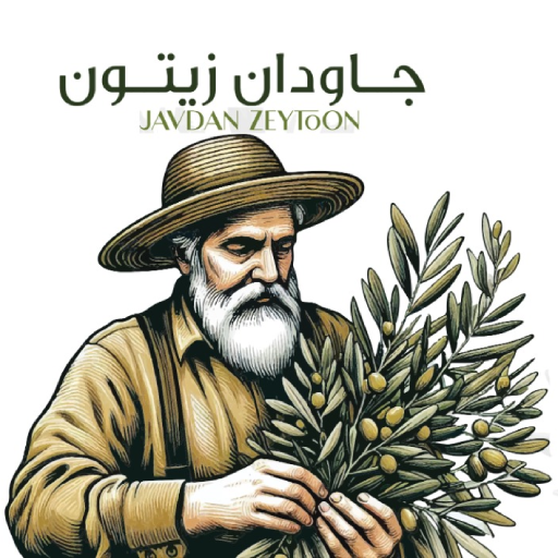 جاودان زیتون