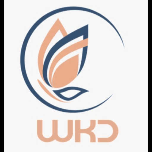 دبلیو کی دی