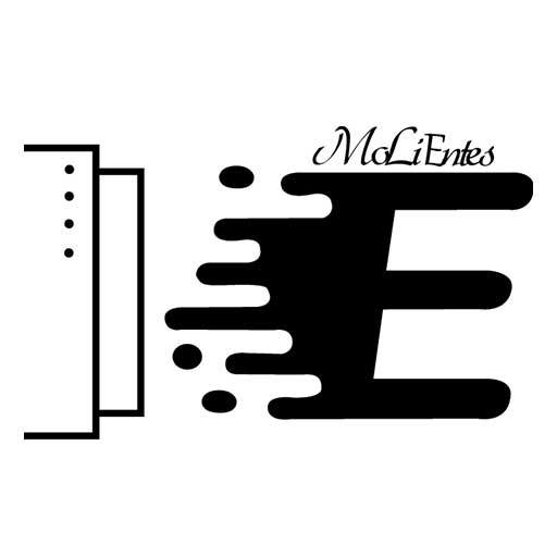 کارتریج انتس