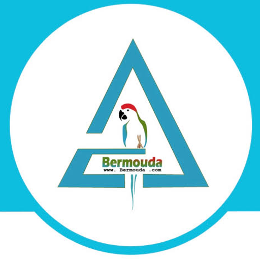 پت شاپ برمودا