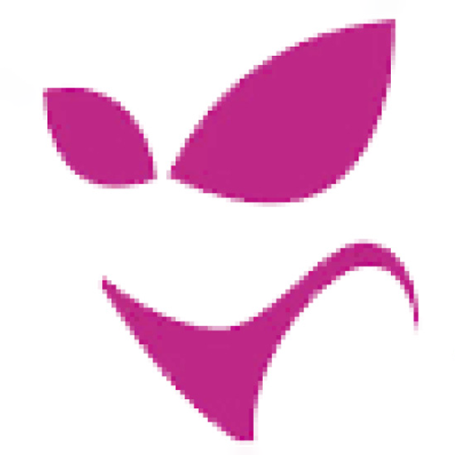 لباس زیر زنانه پرنس