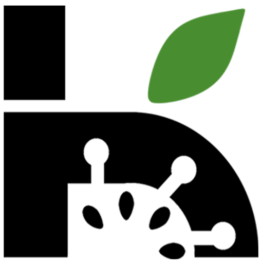 بازرگانی هوش مصنوعی کیوی