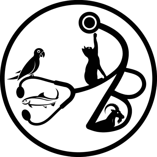 پت شاپ بهمن