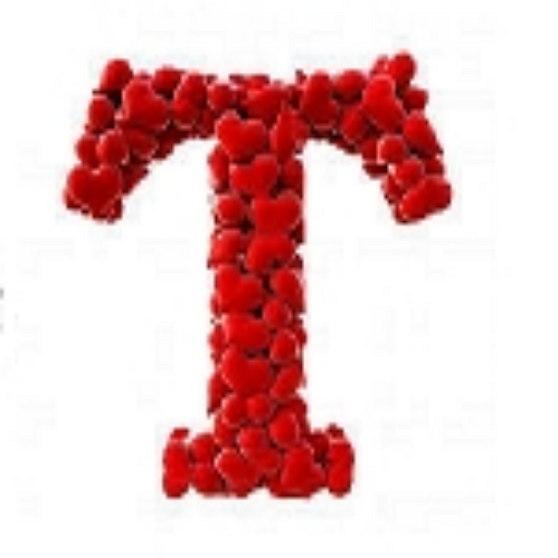 لوازم جانبی تکنونام