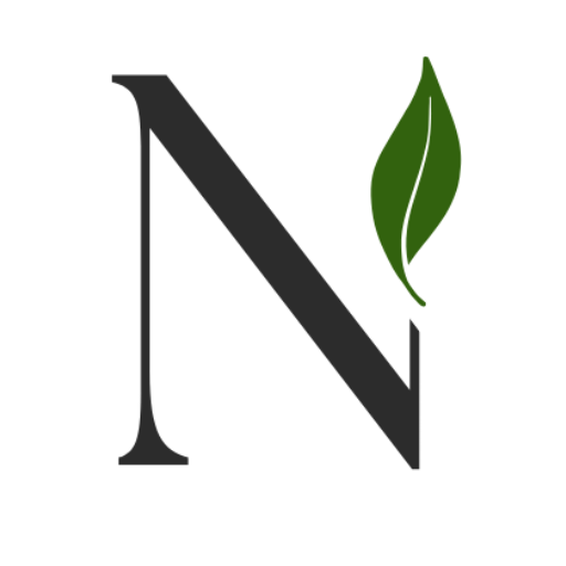 نوریکا بیوتی