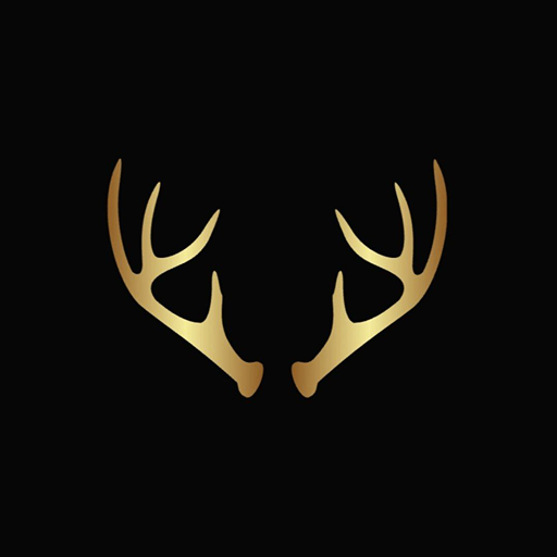 استایل فشنو