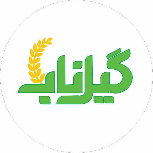 گیل ناب