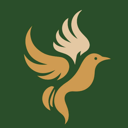 دارومی استور